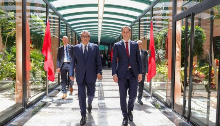 بلجيكا تشيد بالاصلاحات التي قام بها المغرب ، تحت قيادة جلالة الملك