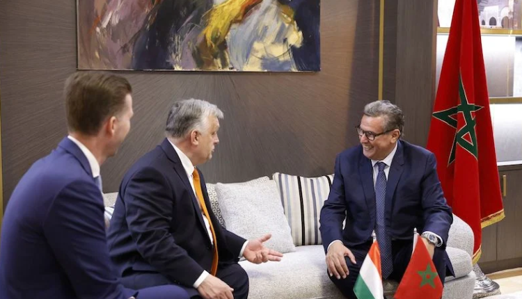 عزيز اخنوش: المغرب متشبث بالشراكة الحالية مع بلجيكا