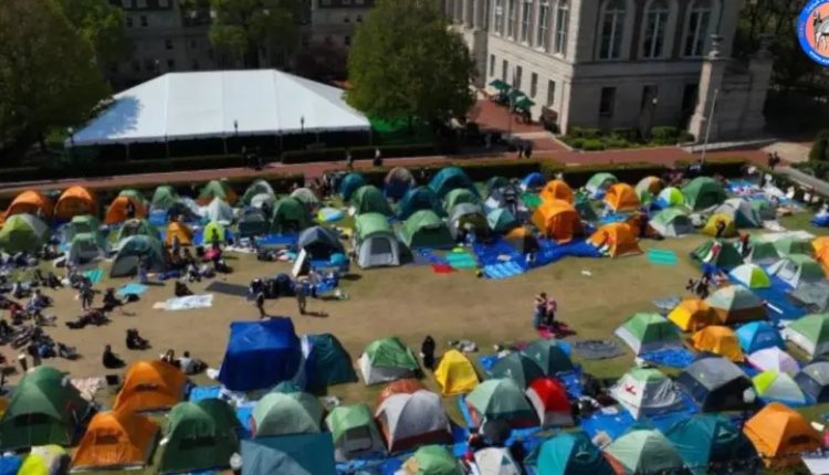 جامعات في الولايات المتحدة الامريكية تبدأ بالخضوع لمطالب الطلبة الداعمين لفلسطين