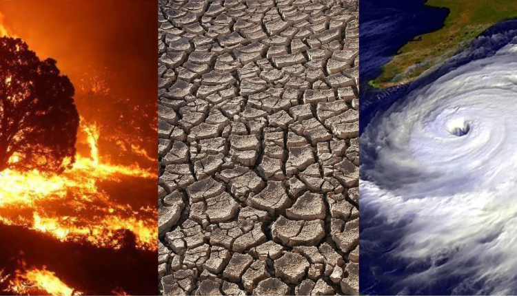 المغرب بلد رائد عالميا في مواجهة التغيرات المناخية (مديرة الوكالة الأمريكية للتنمية الدولية)