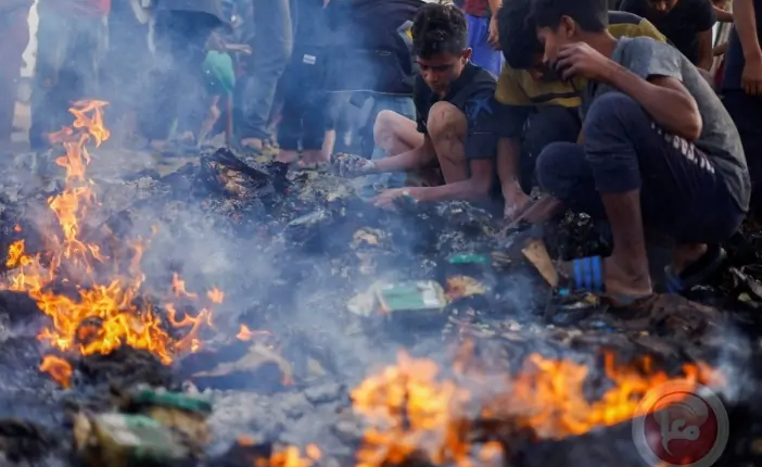 الأيسيسكو: إسرائيل تقود العالم إلى حالة عارمة من الفوضى
