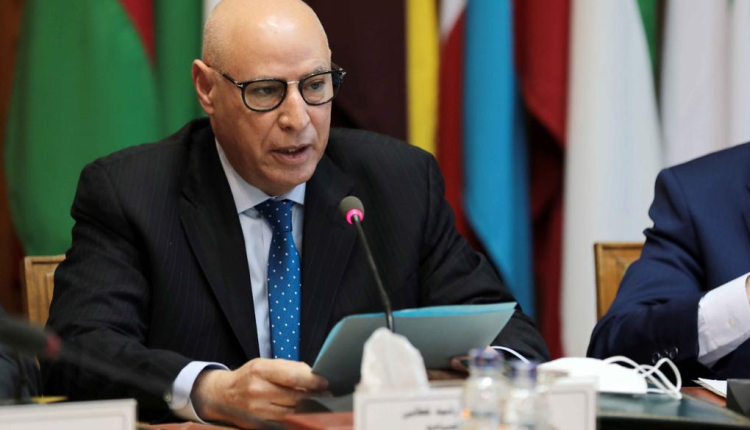 رئيس قطاع الاعلام بالجامعة العربية .. المنطقة العربية مطالبة بتعبئة جادة ومتضامنة