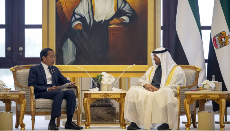 رئيس دولة الإمارات و الرئيس الإندونيسي يبحثان علاقات التعاون والشراكة الاقتصادية بين البلدين