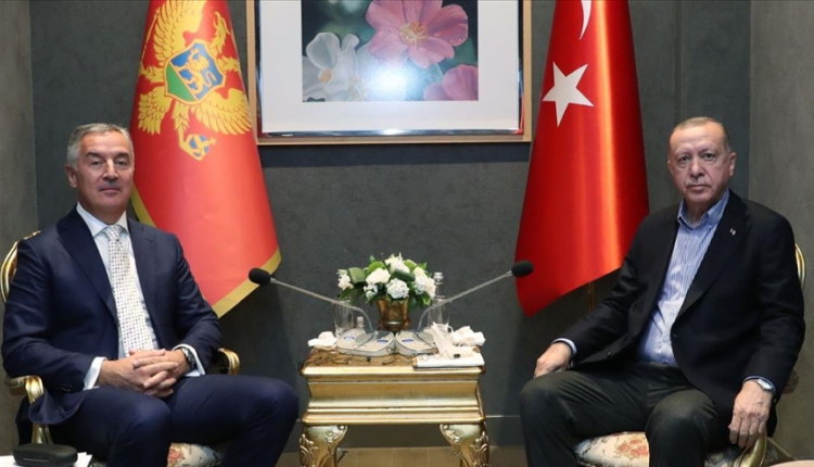 أردوغان يصادف نائب رئيس وزراء الجبل الأسود