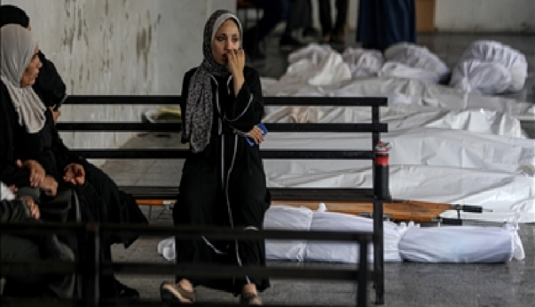 الإمارات تقدم خيامًا ومساعدات إغاثية جديدة للفلسطينيين في غزة