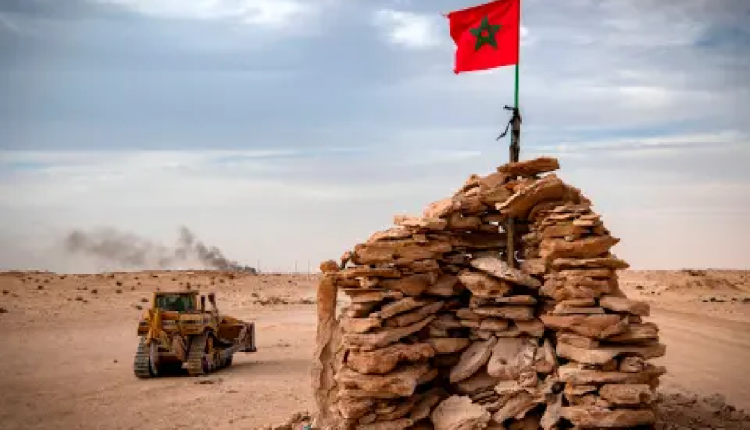 محلل سياسي برازيلي: فرنسا تبنت موقفا حكيما لتسوية نزاع الصحراء