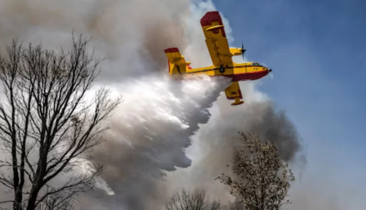 حكومة البرتغال ممتنة للمساعدة المغربية في مواجهة حرائق الغابات