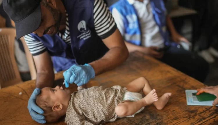حملة تطعيم شلل الأطفال في غزة
