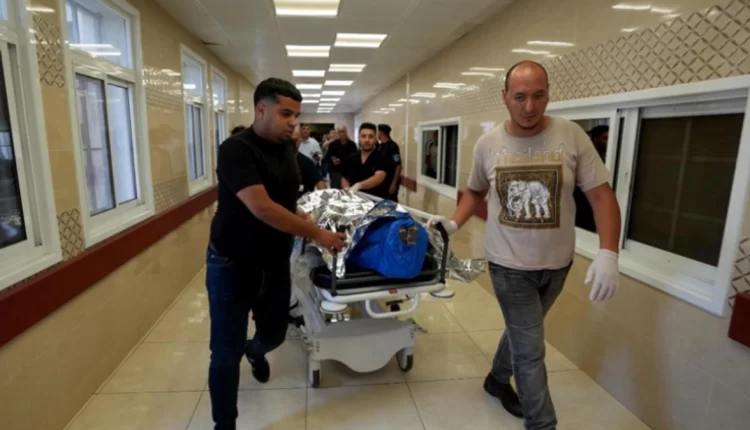 حركة التضامن الدولية