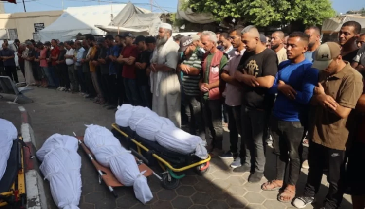 القتال مستمر في غزة.. وارتفاع حصيلة الضحايا إلى 41534 قتيلاً