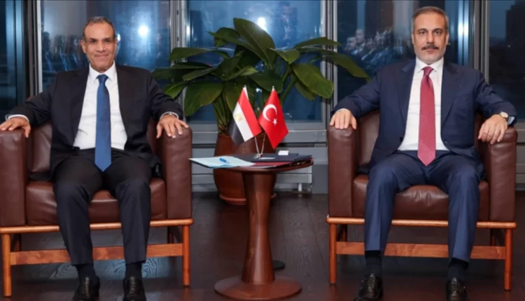 فيدان يستقبل نظيره المصري في نيويورك