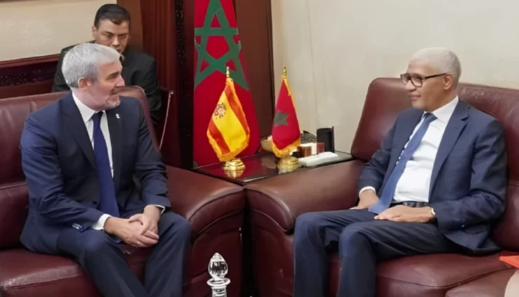 راشيد الطالبي العلمي