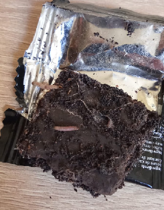 شوكولاطة فاسدة