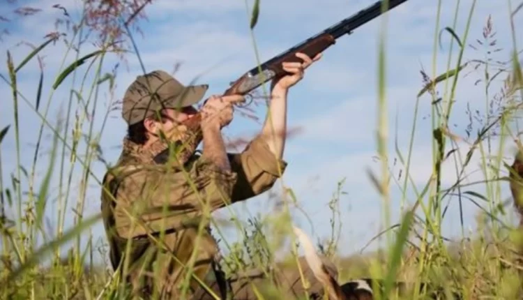 ظاهرة القنص العشوائي