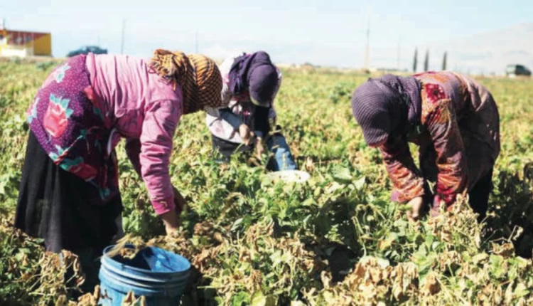 المرأة الريفية