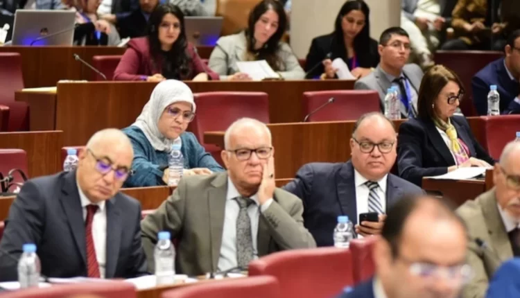 مضيان يوضح: "التزامي بالمسيرة الخضراء سبب غيابي عن البرلمان"