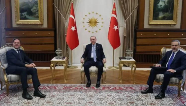 أردوغان وروته يبحثان سبل إنهاء المجازر الإسرائيلية في فلسطين