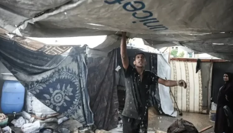 ارتفاع عدد القتلى جراء الحرب في قطاع غزة إلى 44,249 شخصًا