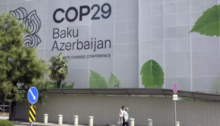 كوب 29 : رئيس فيدرالية الخضر الأفارقة يدعو إلى إعادة التفكير في أنماط الاستهلاك