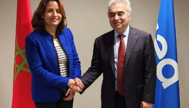 كوب 29.. المغرب، الممر الطاقي الوحيد الذي يربط بين أوروبا وإفريقيا والحوض الأطلسي (السيدة بنعلي)