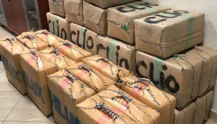 إحباط عملية تهريب 3.5 أطنان من الشيرا في الجديدة