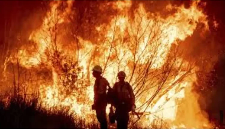 حرائق غابات جديدة في لوس أنجليس