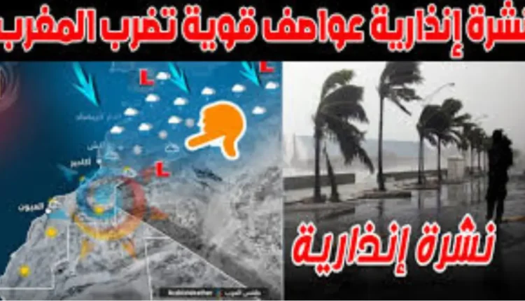 ننشرة انذارية