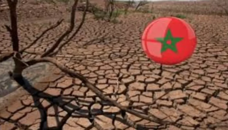 الجفاف في المغرب