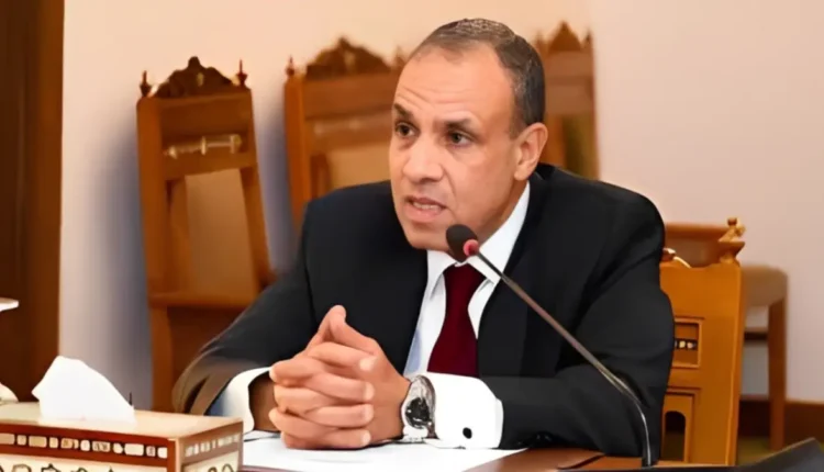 وزير الخارجية المصري