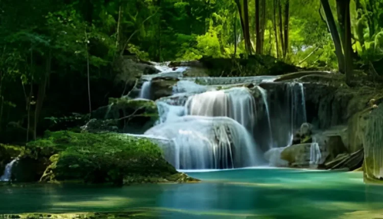 الماء والطبيعة والتربة والنبات والتنوع البيولوجي