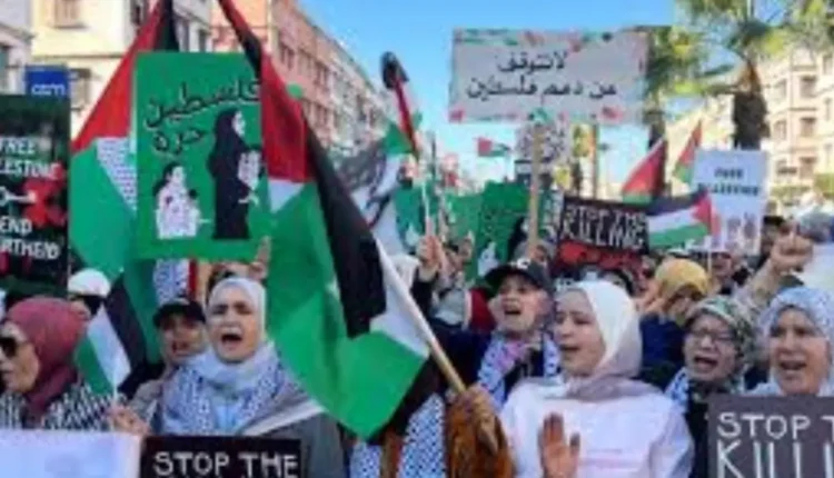 استطلاع: 2% من الفلسطينيين يتطلعون للهجرة نحو المغرب وتركيا تتصدر الوجهات المفضلة