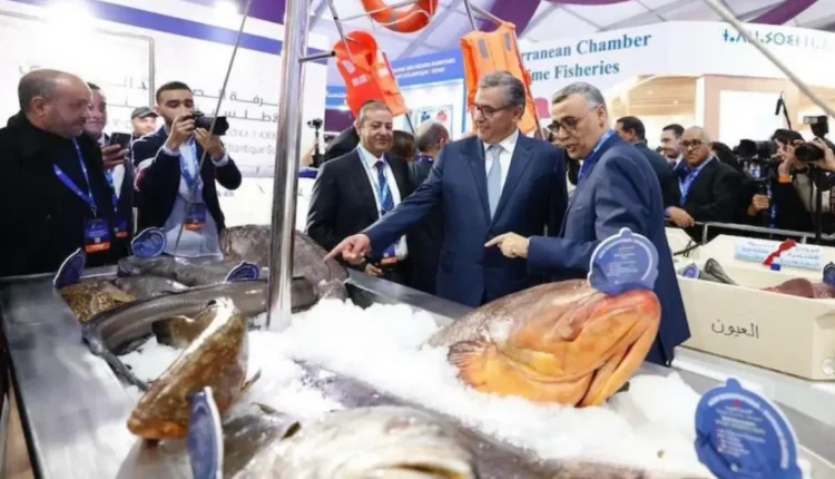 الجفاف وتقلب أسعار الطاقة