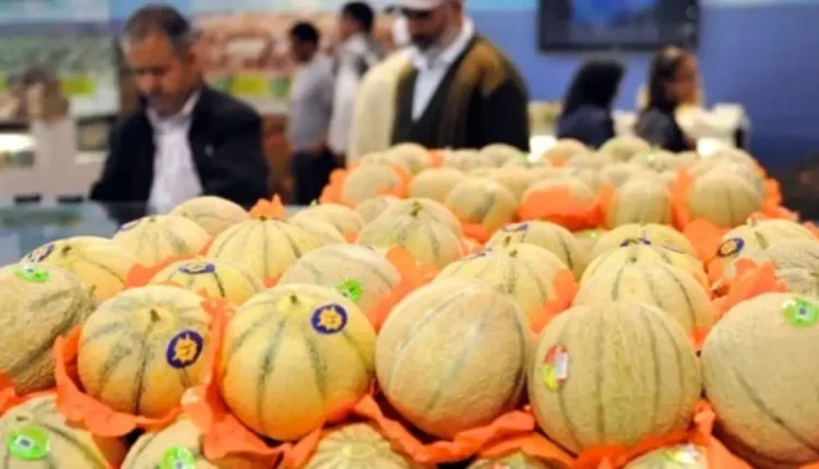 أهمية الفلاحة المغربية في الأسواق الدولية