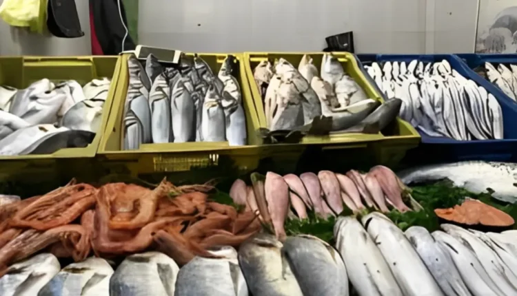 أزمة غلاء سمك السردين في رمضان