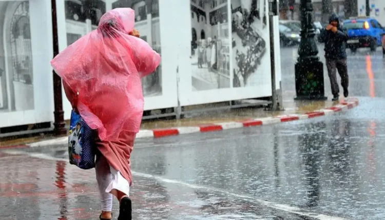 مقاييس الأمطار المسجلة خلال 24 ساعة