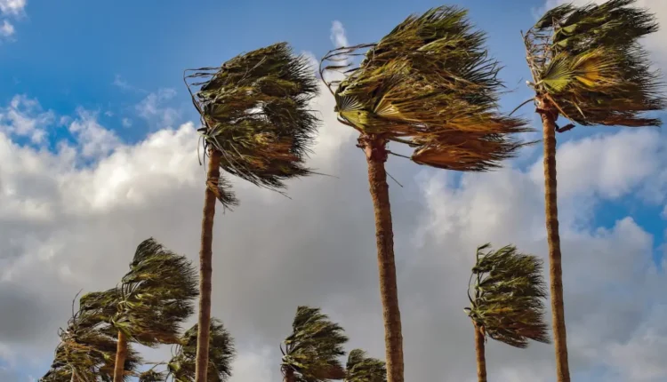 هبات رياح مع تطاير غبار بعدد من مناطق المملكة