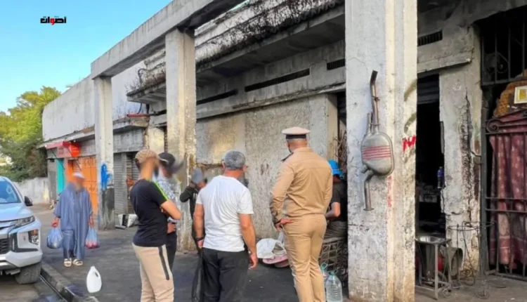 حملة تفتيشية في طنجة لمنع بيع الأضاحي