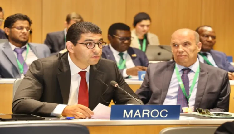 بنسعيد: المغرب ملتزم بالتعددية للتشاور والتضامن الدولي