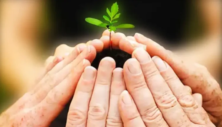 اللقاء مع الذات كيف يمكن للصدق والنية الصافية أن يعزز تأثيرنا في حياة الآخرين