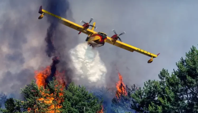 "خطر حرائق الغابات" تحذير رسمي يشمل عدة مناطق