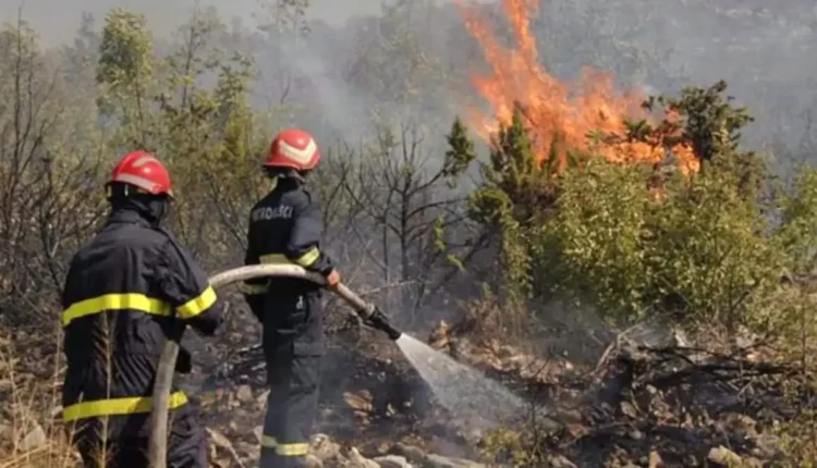 جهة فاس-مكناس: حالة استنفار قصوى بغابات الأطلس المتوسط
