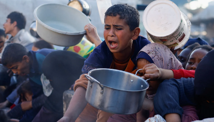 تحذيرات من استمرار خطر انعدام الأمن الغذائي الحاد في العالم