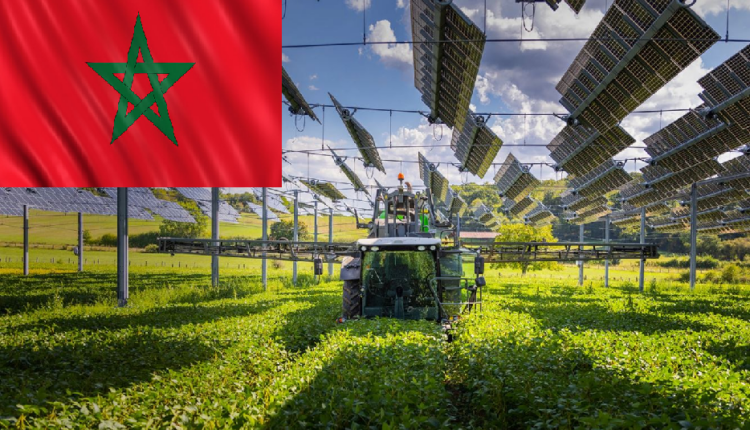 المغرب يعزز نفوذه الزراعي في أمريكا اللاتينية عبر الأسمدة والشراكات الاستراتيجية