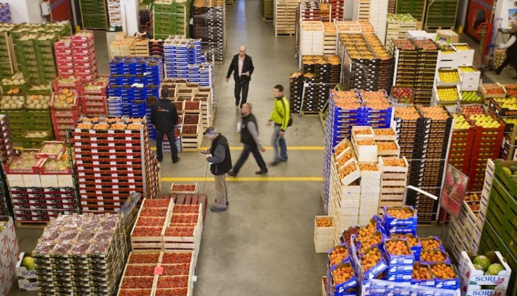 التضخم بالمغرب يرتفع 1,2% خلال ماي